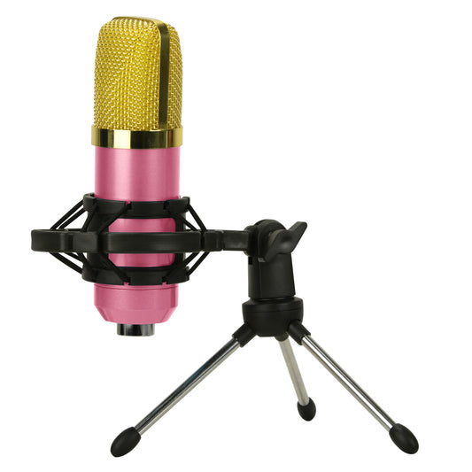 Kit Micrófono Condensador Streaming B2