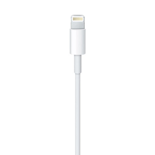 Cable Lightning a USB-A Apple 2.0 Mt